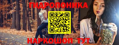 сатива Обь