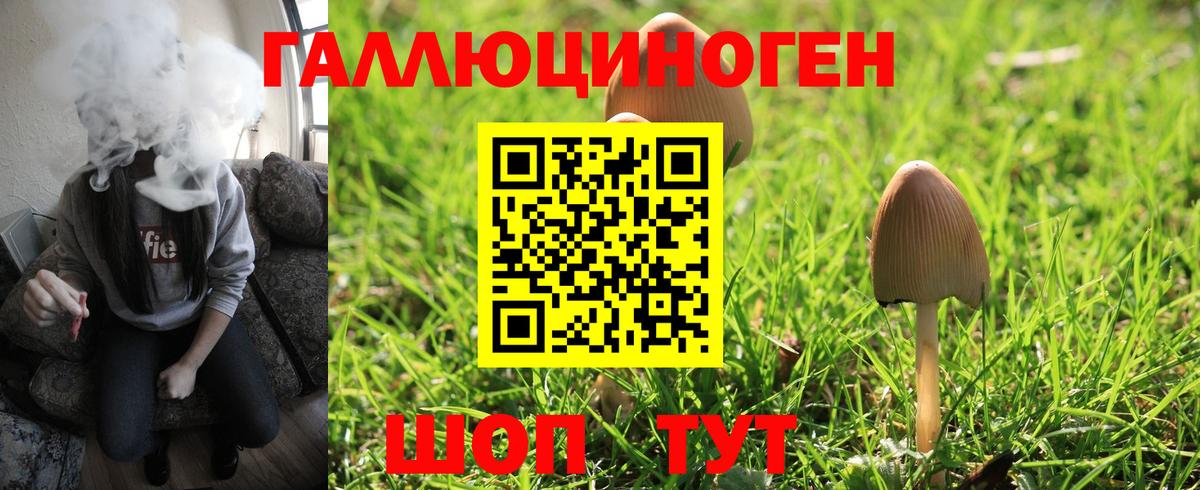 Галлюциногенные грибы Cubensis Симферополь