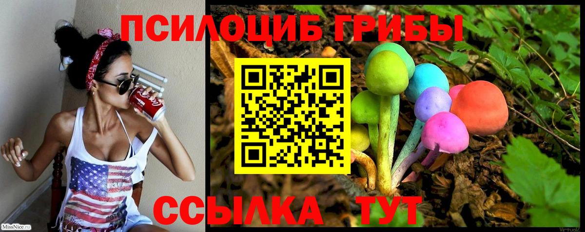 Галлюциногенные грибы Cubensis  Вход с VPN  Симферополь 